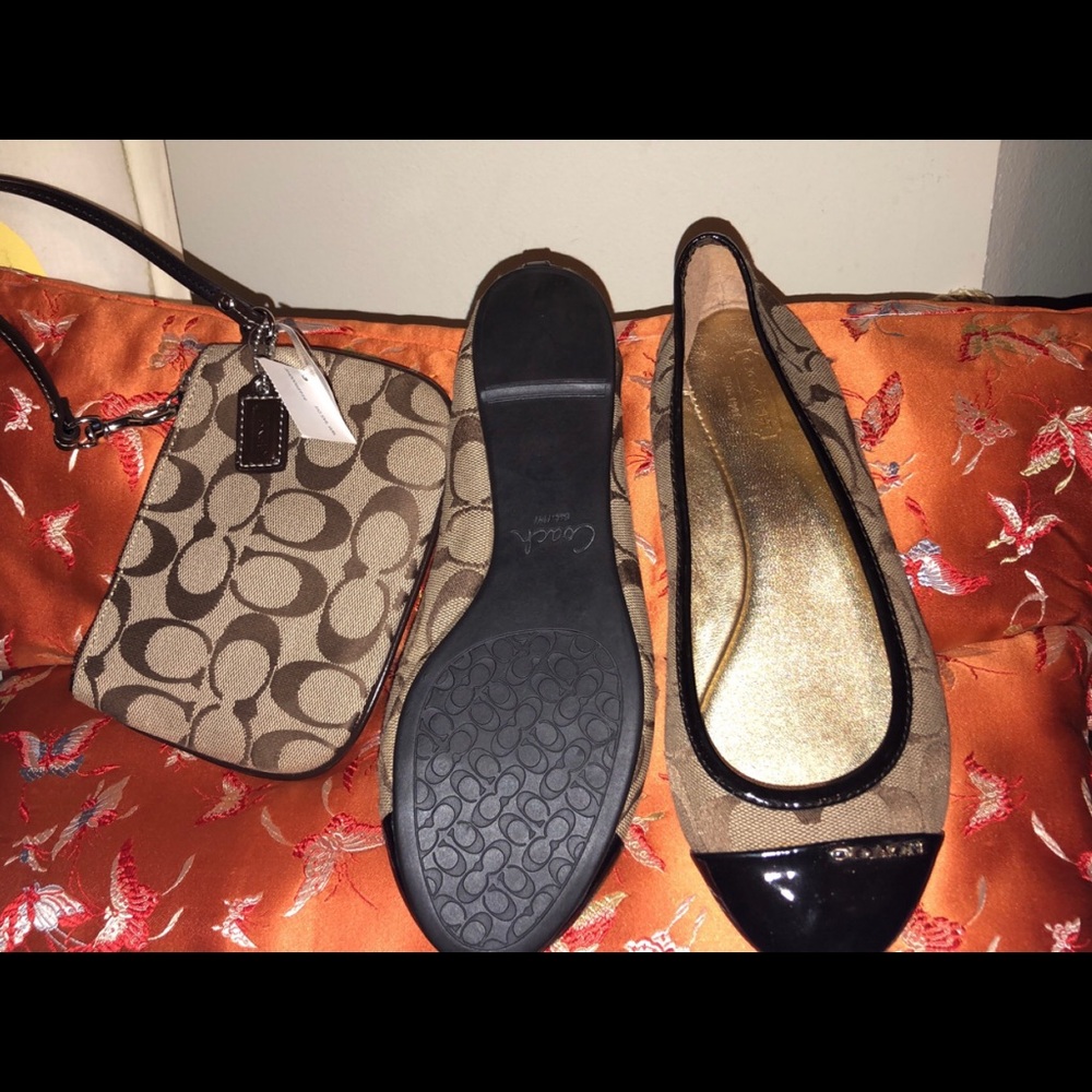 Coach Set